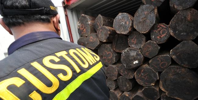 Timber trade required to exercise due diligence