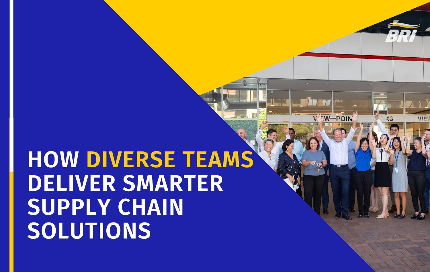 BR International, How Diverse Teams Deliver Smarter Supply Chain Solutions BR International, How Diverse Teams Deliver Smarter Supply Chain Solutions
